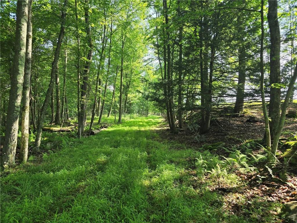 273 Government Road New Bethlehem, PA 16242 - Photo 33 of 33 a view of outdoor space and yard