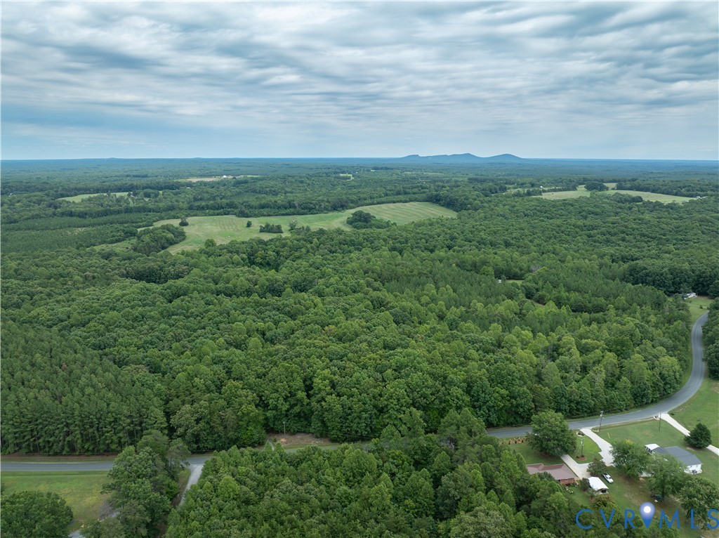 724 Perkins Mill Road Dillwyn, VA 23936 - Photo 5 of 10 Expansive wooded acreage featuring mature trees an