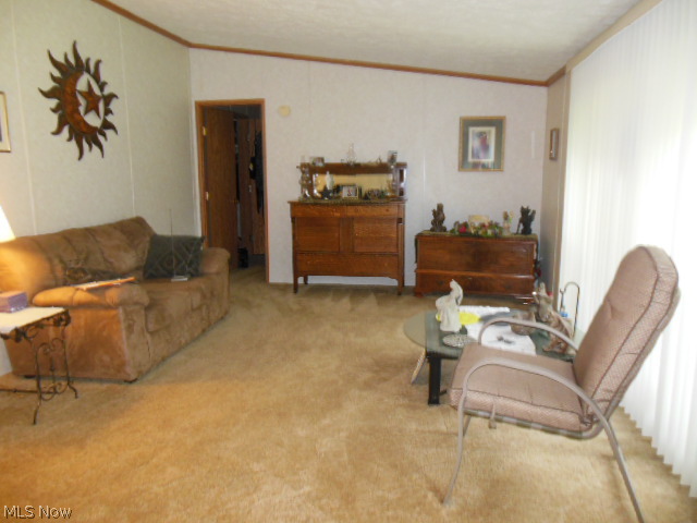 7273 Peck Road Ravenna, OH 44266 - Photo 2 of 23 Gallery Image 2
