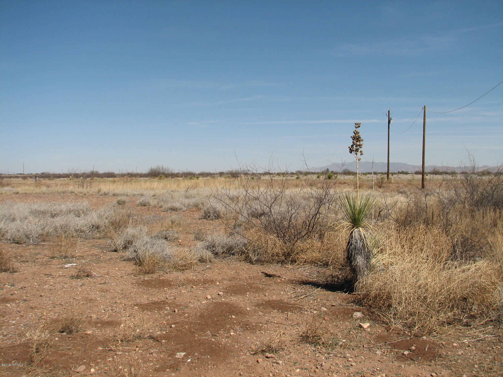 219 West Glenn Road Douglas, AZ 85607 - Photo 7 of 9