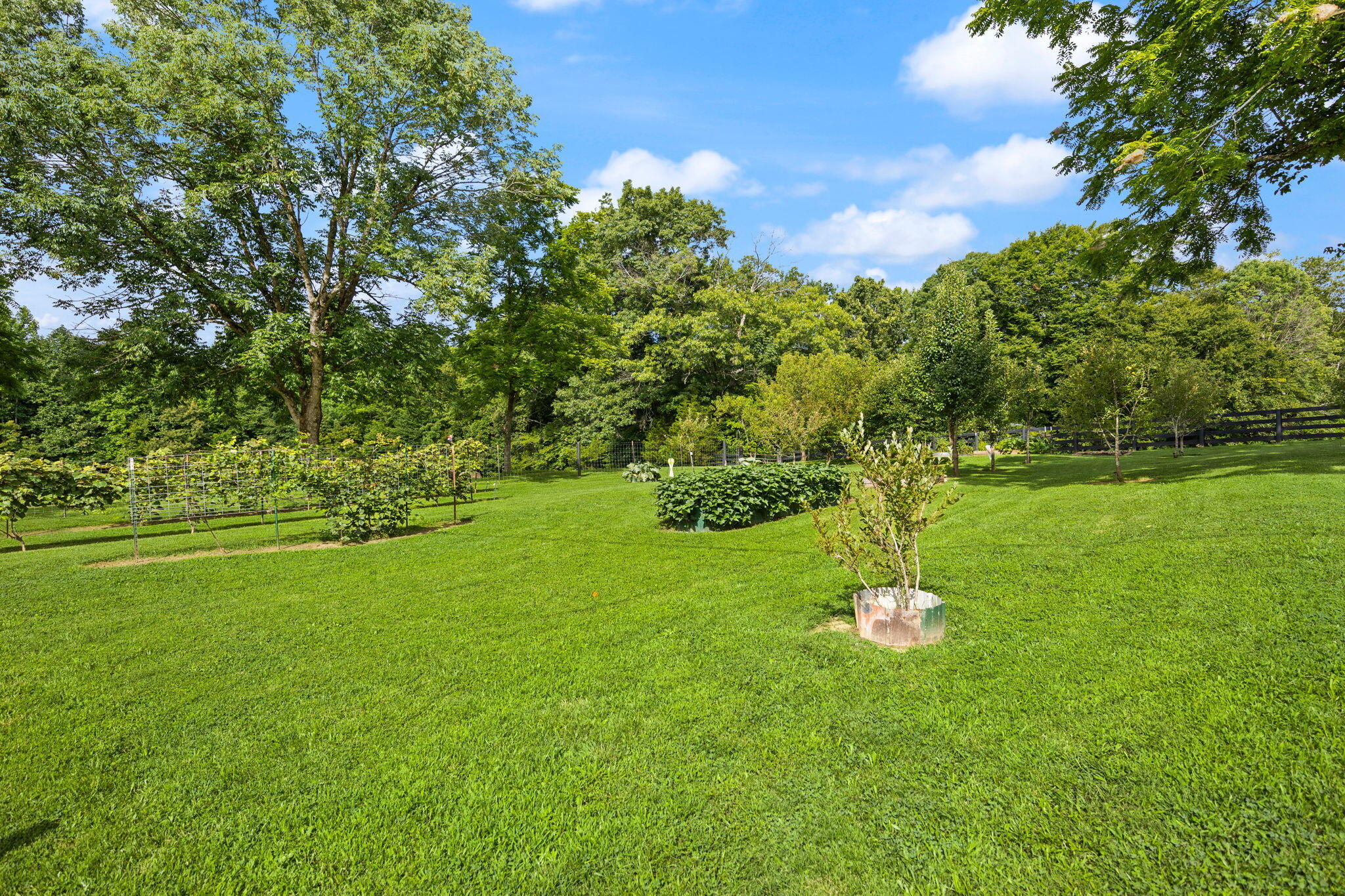 1310 Hopefull School Road Nancy, KY 42544 - Photo 84 of 84 37-web-or-mls-413A4852
