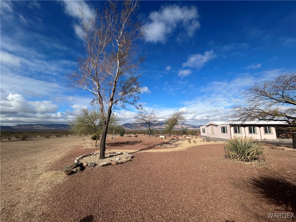5218 Ramon Drive Golden Valley, AZ 86413 - Photo 6 of 67 Yard