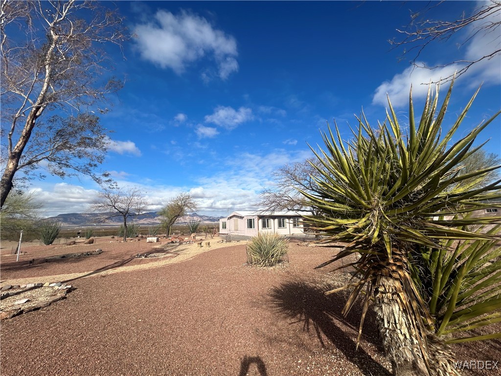5218 Ramon Drive Golden Valley, AZ 86413 - Photo 7 of 67 Yard