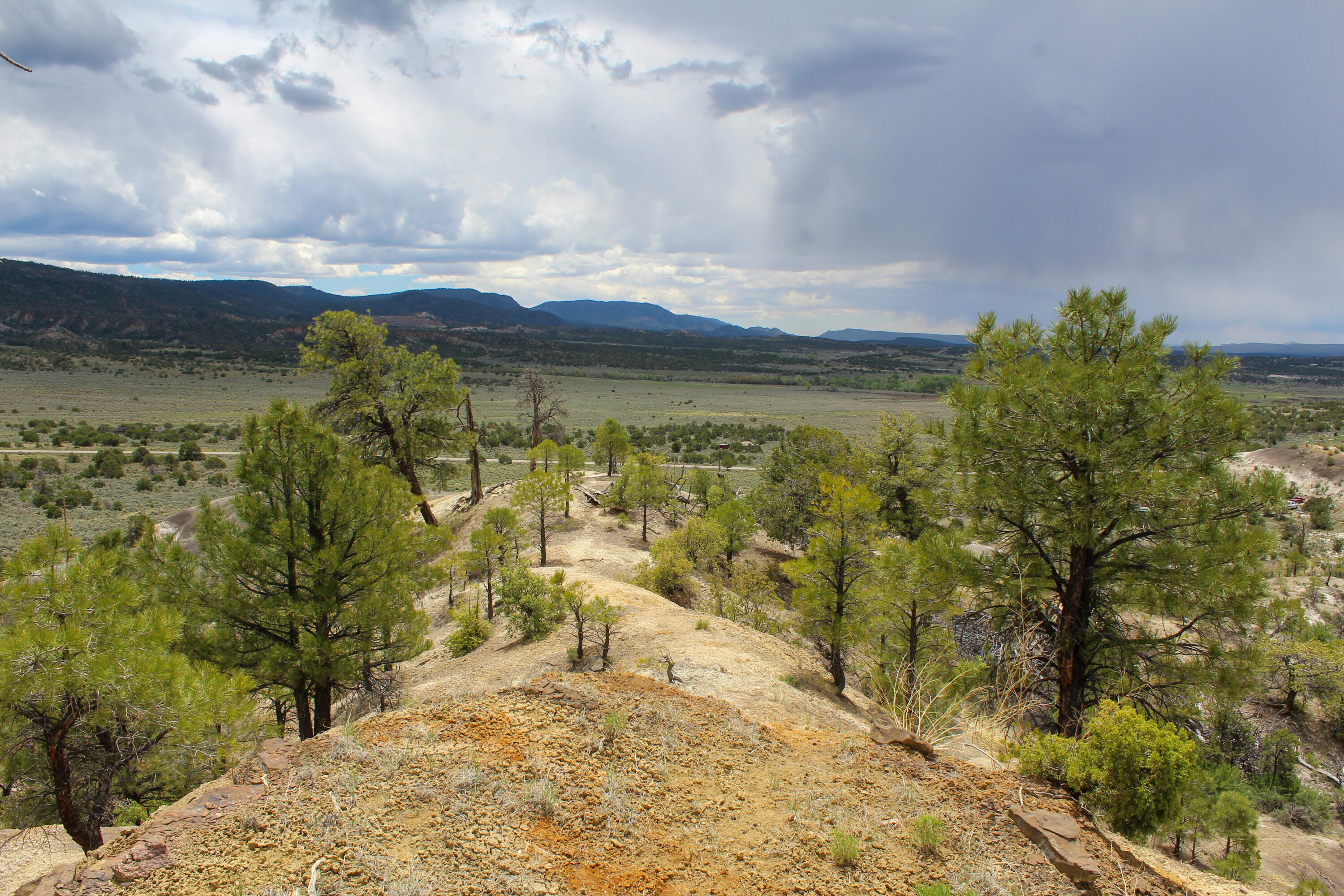 200 County Road Cuba, NM 87013 - Photo 3 of 70 Gallery Image 3