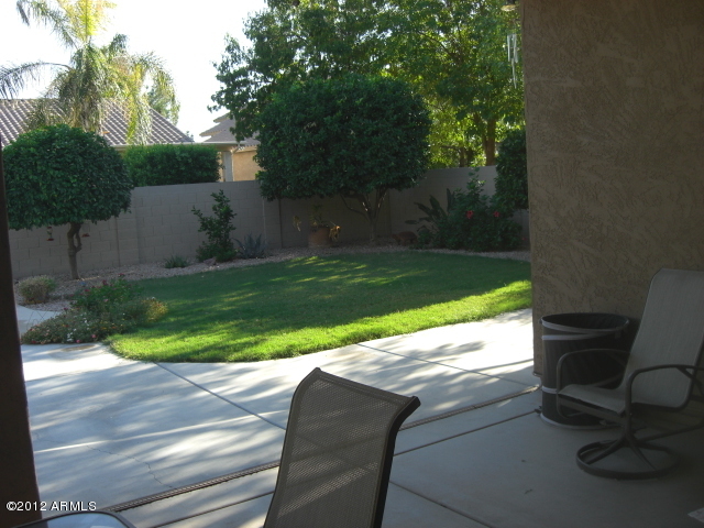 295 West Del Rio Street Gilbert, AZ 85233 - Photo 11 of 30 grassy area