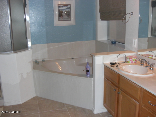 295 West Del Rio Street Gilbert, AZ 85233 - Photo 15 of 30 Master bath