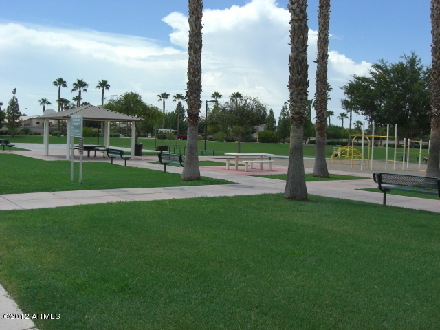 295 West Del Rio Street Gilbert, AZ 85233 - Photo 24 of 30 park and picnic