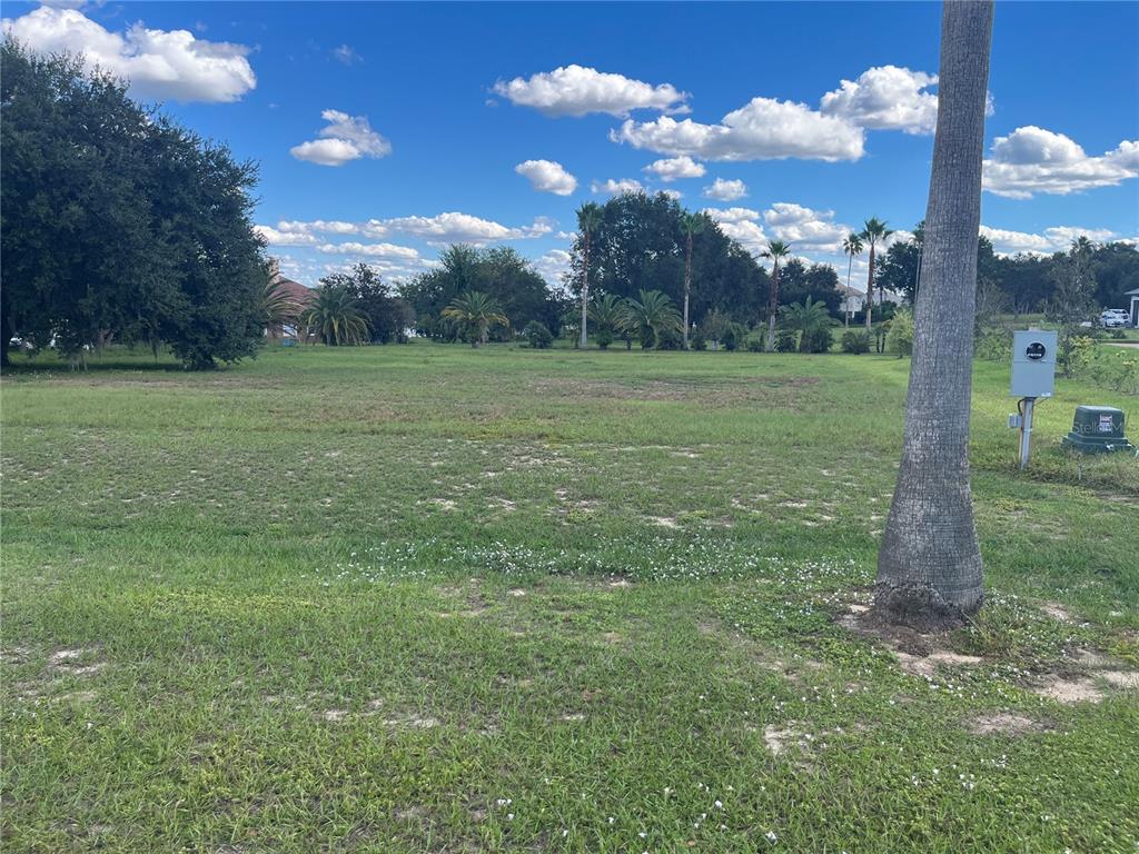 7434 Jasmine Street Groveland, FL 34736 - Photo 3 of 15 a view of a green field