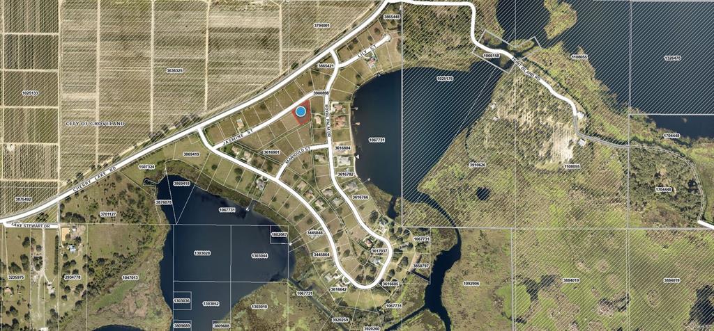 7434 Jasmine Street Groveland, FL 34736 - Photo 8 of 15