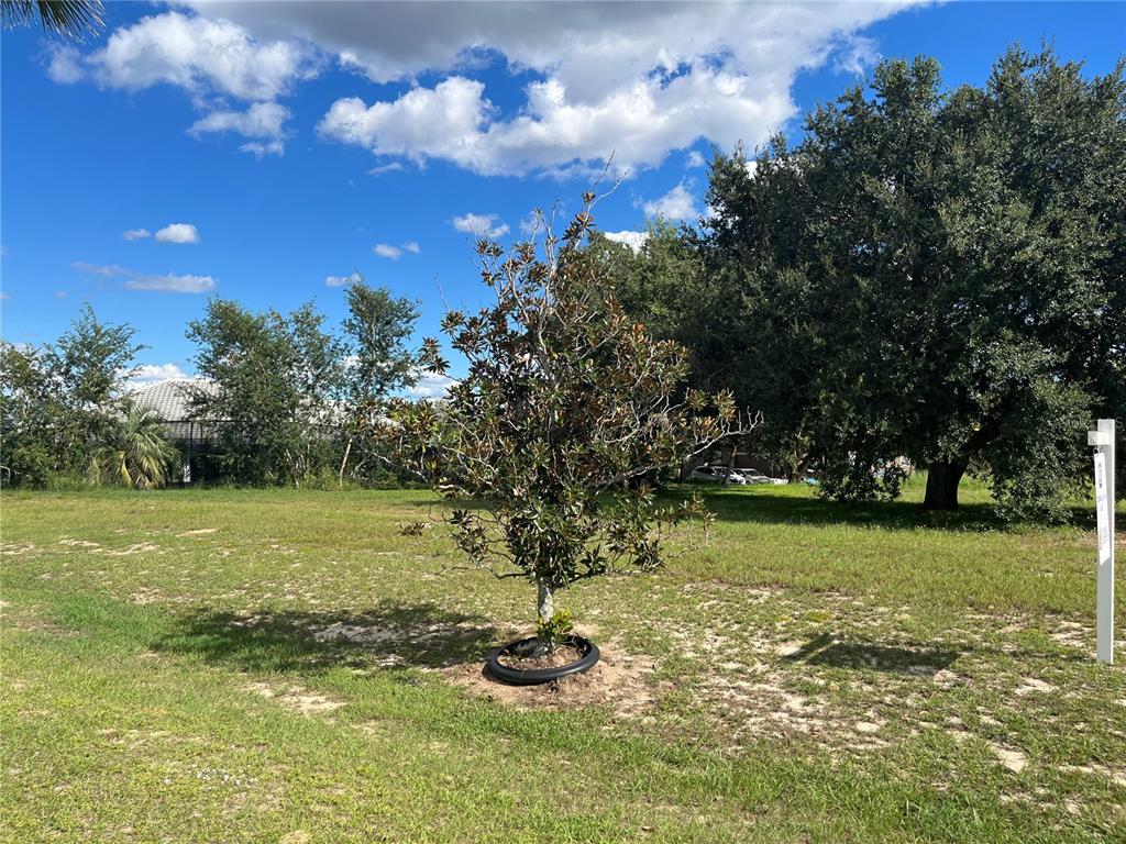 7434 Jasmine Street Groveland, FL 34736 - Photo 9 of 15 a view of a lake