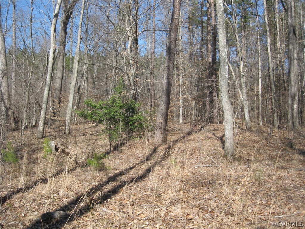 48 Reservoir Road Victoria, VA 23974 - Photo 3 of 26 a view of a yard with trees
