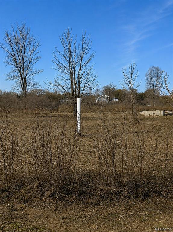 2969 Reeves Road Memphis, MI 48041 - Photo 3 of 7
