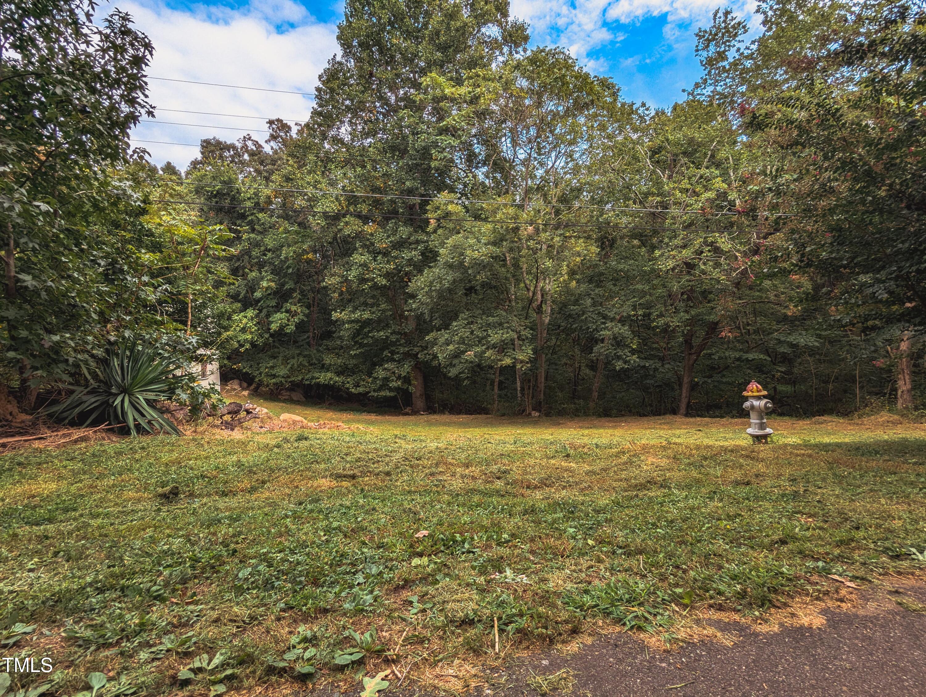 Tbd Tbd Edgar Roxboro, NC 27573 - Photo 5 of 9 WhatsApp Image 2024-09-29 at 10.18.26 AM