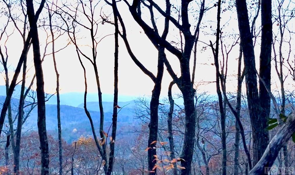 Me-12 Old Chimney Road Cashiers, NC 28717 - Photo 4 of 25 Gallery Image 4