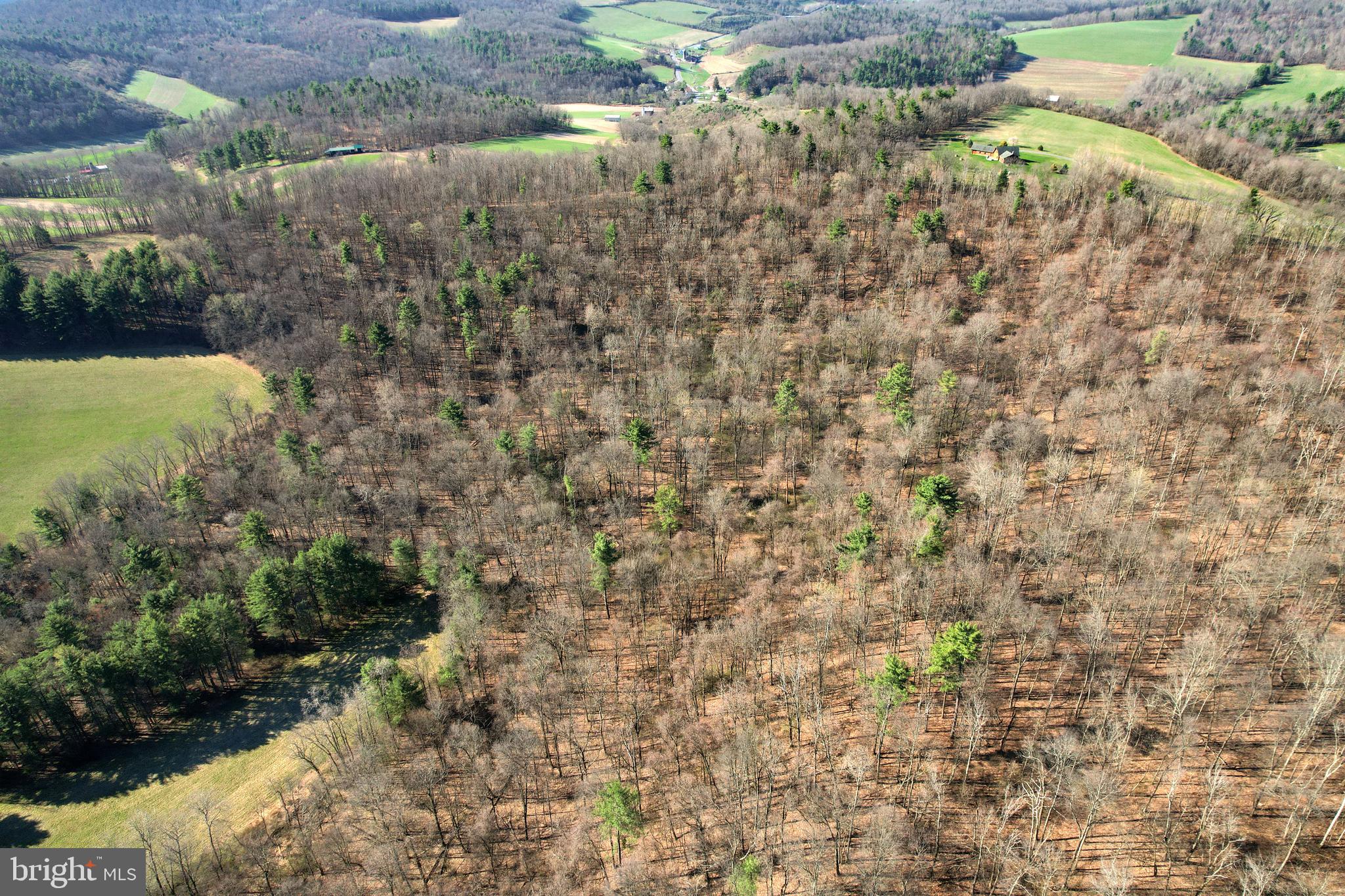 Lot On Circle Road Bellefonte, PA 16823 - Photo 2 of 7