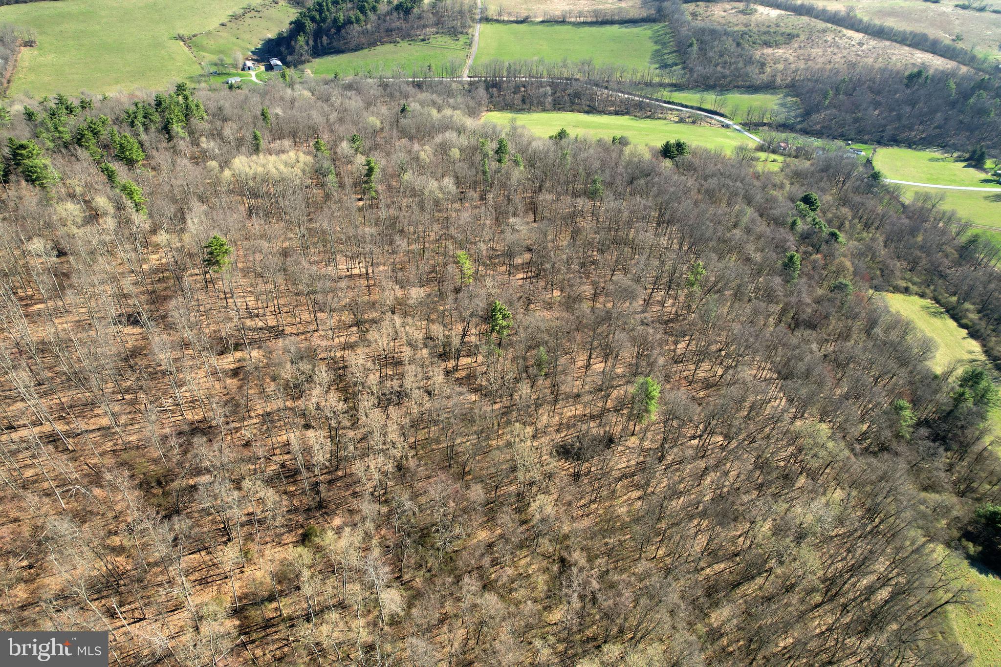 Lot On Circle Road Bellefonte, PA 16823 - Photo 3 of 7