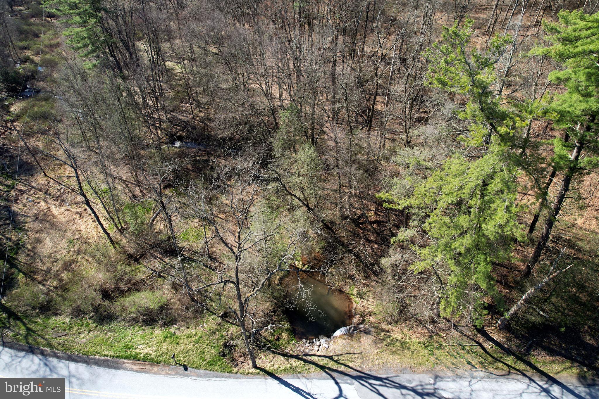 Lot On Circle Road Bellefonte, PA 16823 - Photo 5 of 7