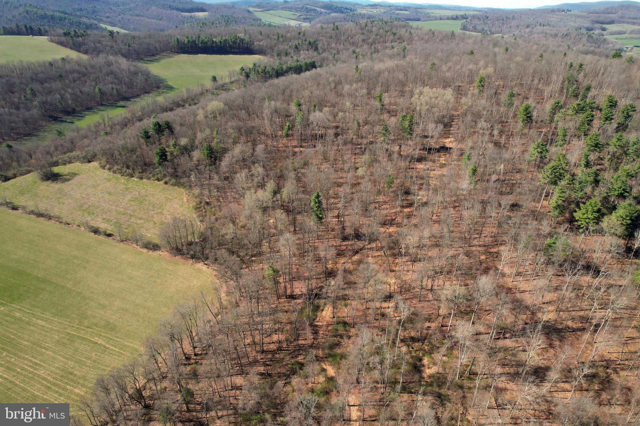 Lot On Circle Road Bellefonte, PA 16823 - Photo 7 of 7