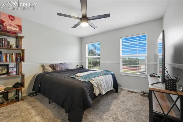 a living room with a bed furniture and a window