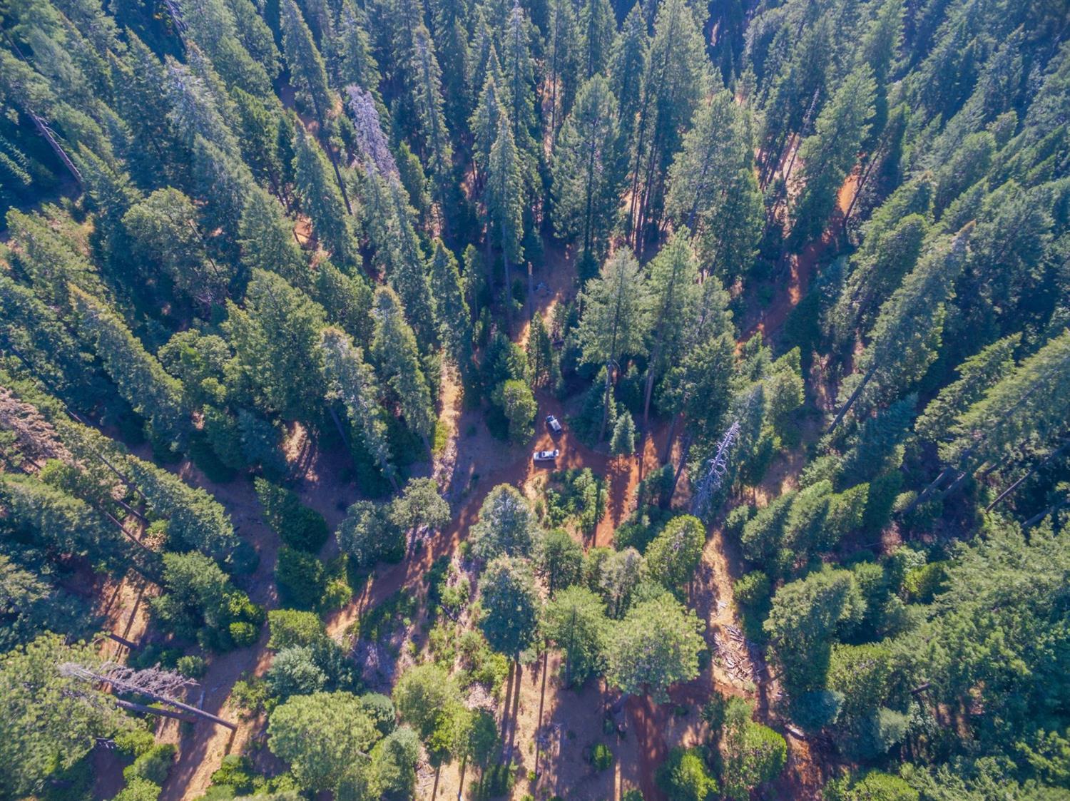 0 Blair Road Pollock Pines, CA 95726 - Photo 11 of 27