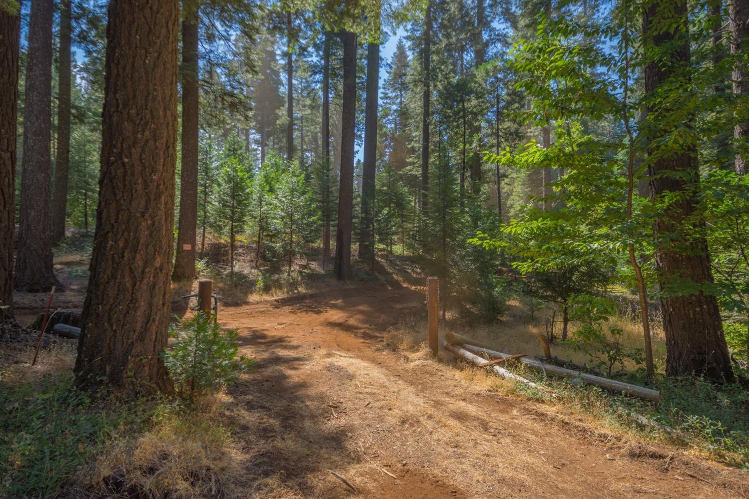 0 Blair Road Pollock Pines, CA 95726 - Photo 14 of 27