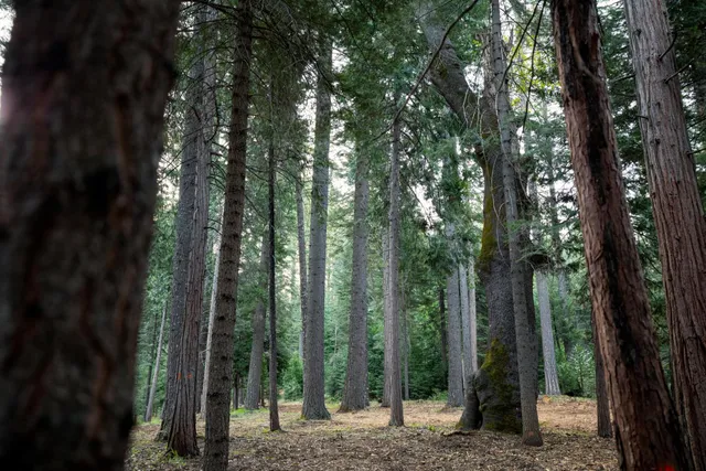 $1,100,000 | 0 Blair Road, Pollock Pines, CA 95726