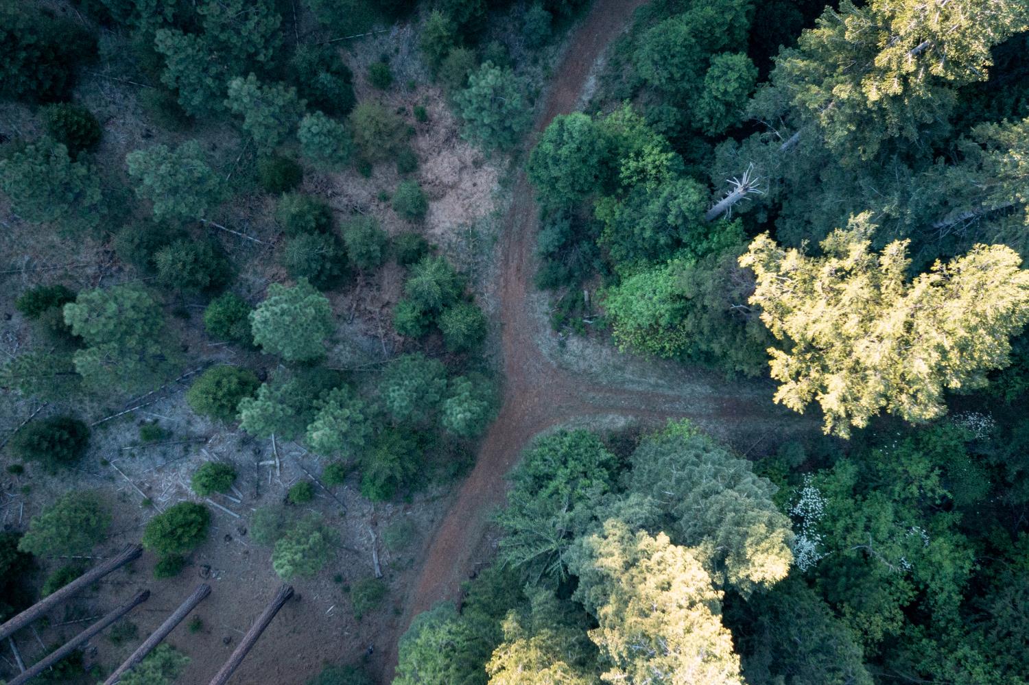 0 Blair Road Pollock Pines, CA 95726 - Photo 19 of 27