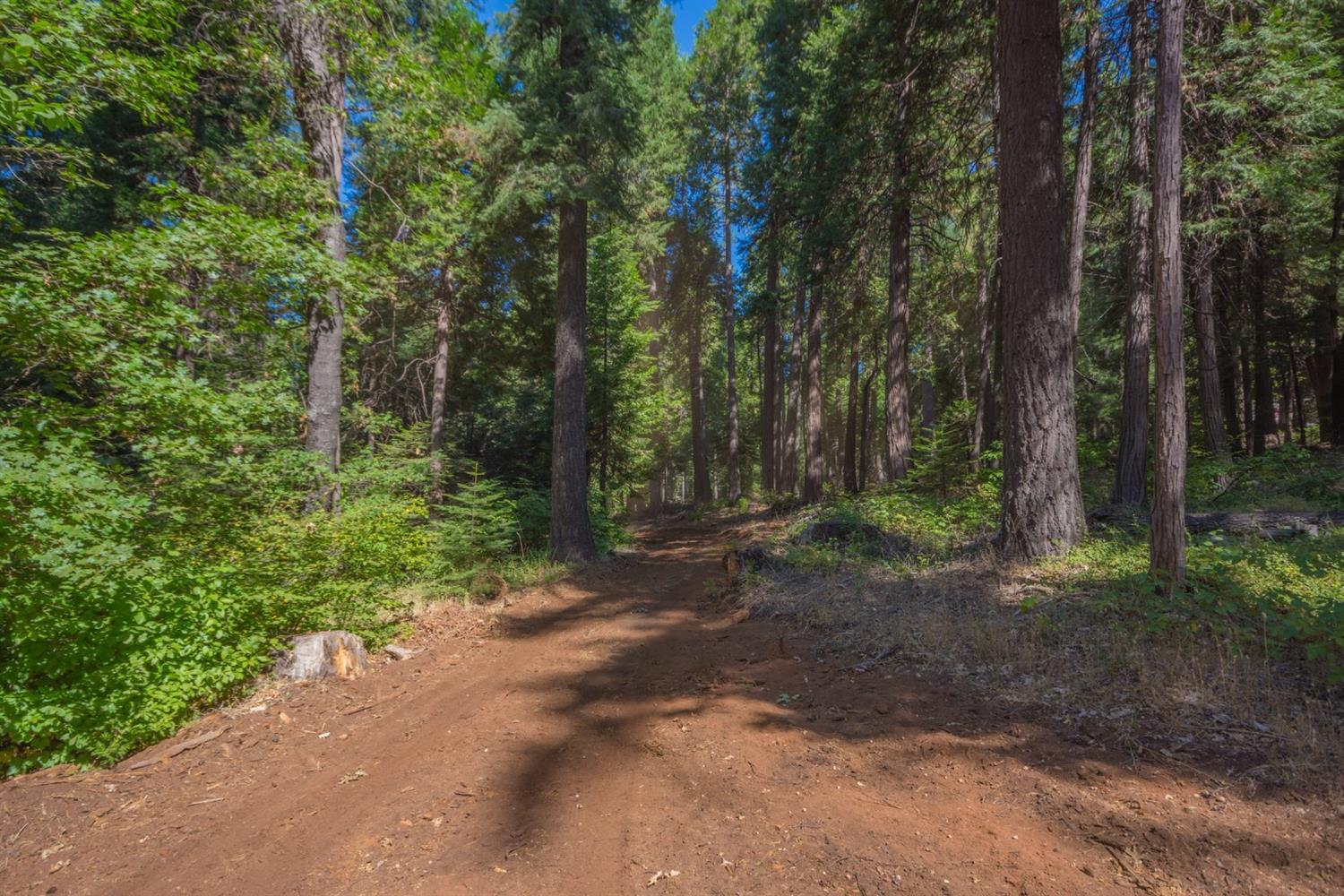 0 Blair Road Pollock Pines, CA 95726 - Photo 20 of 27