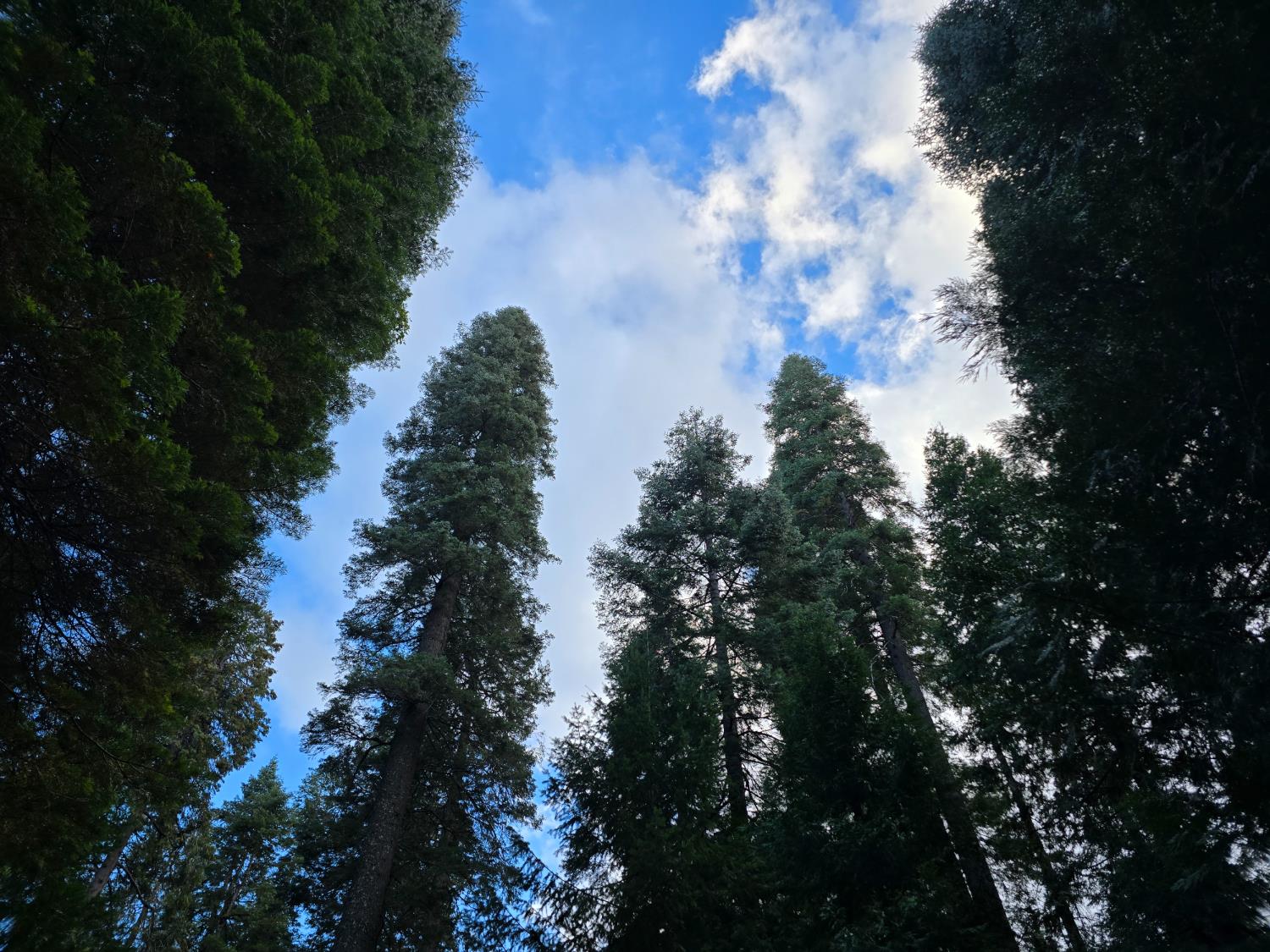 0 Blair Road Pollock Pines, CA 95726 - Photo 2 of 27