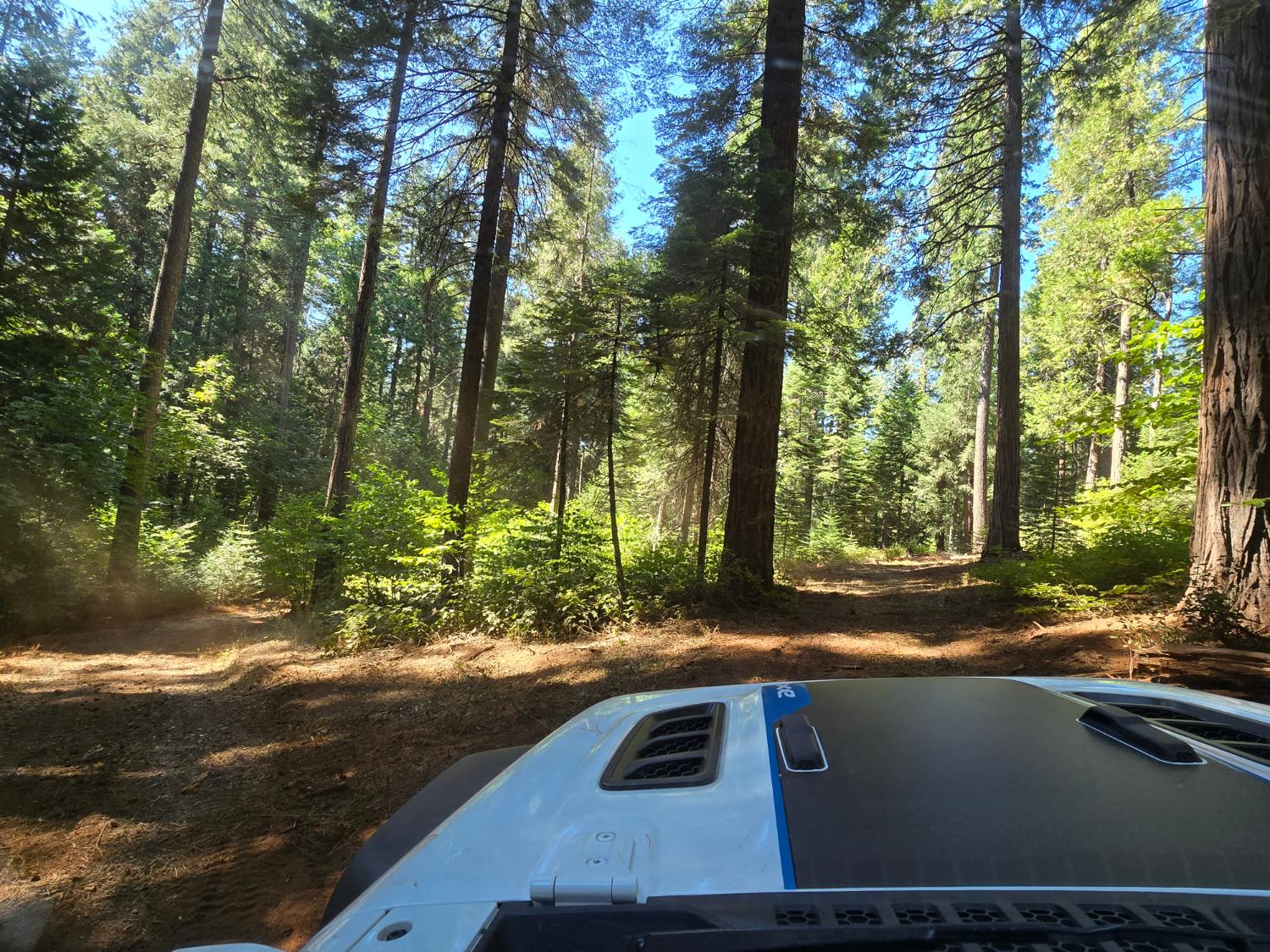 0 Blair Road Pollock Pines, CA 95726 - Photo 22 of 27