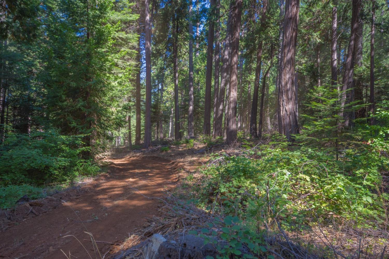 0 Blair Road Pollock Pines, CA 95726 - Photo 27 of 27