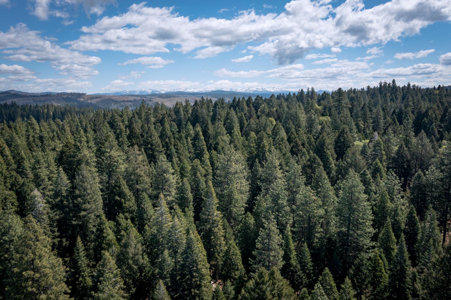 0 Blair Road Pollock Pines, CA 95726 - Photo 3 of 27