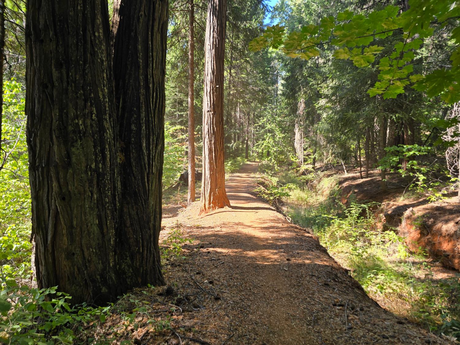 0 Blair Road Pollock Pines, CA 95726 - Photo 6 of 27