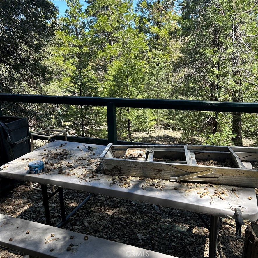 119 Barton Flats Road Angelus Oaks, CA 92305 - Photo 12 of 15