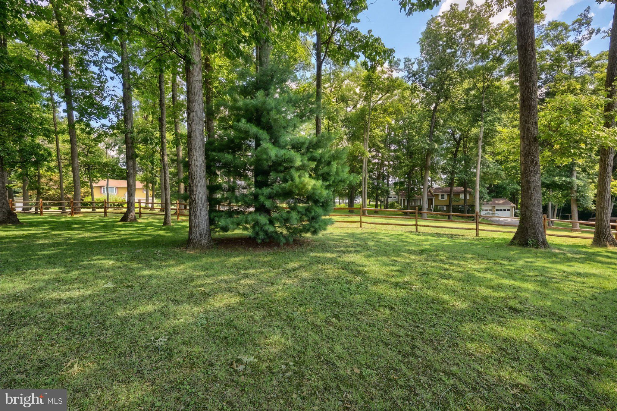 468 Fairview Drive Hanover, PA 17331 - Photo 15 of 42 Serene wooded retreat awaits you.