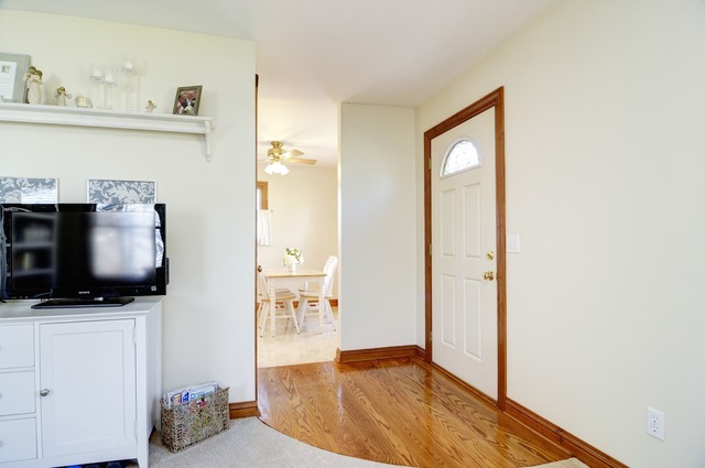Gallery Image 7