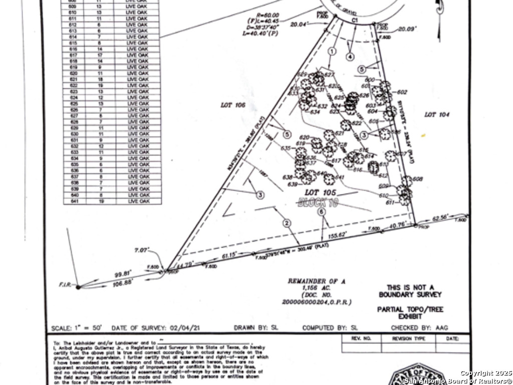 729 Live Oak Rdg Road Bulverde, TX 78163 - Photo 11 of 12