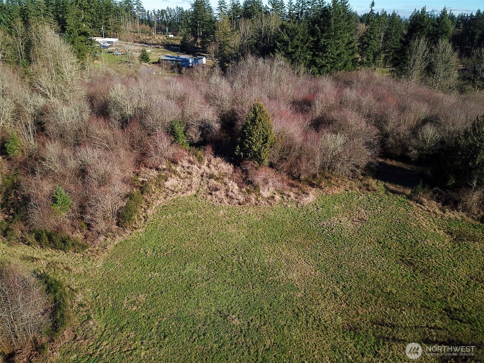 14647 Case Road Southwest Rochester, WA 98579 - Photo 12 of 14 a view of a lake with a yard