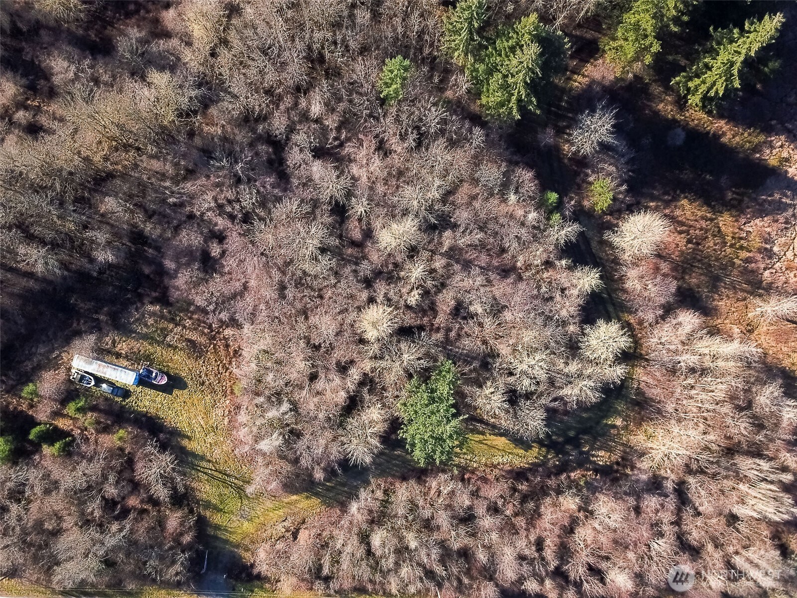 14647 Case Road Southwest Rochester, WA 98579 - Photo 13 of 14