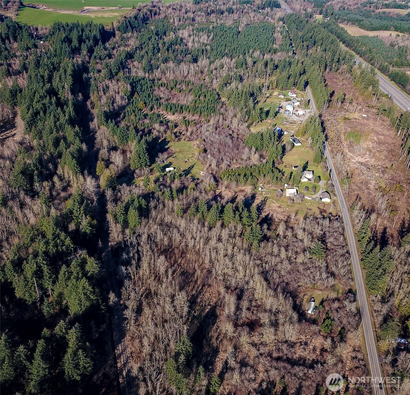 14647 Case Road Southwest Rochester, WA 98579 - Photo 14 of 14 a view of a forest with a tree