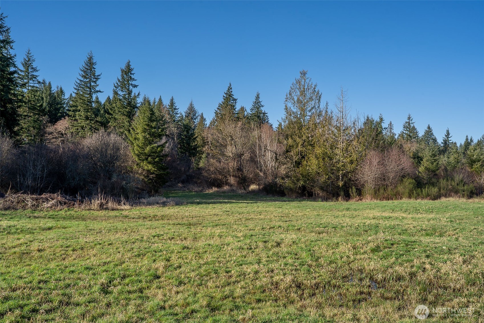 14647 Case Road Southwest Rochester, WA 98579 - Photo 4 of 14 a view of a field with trees in the background