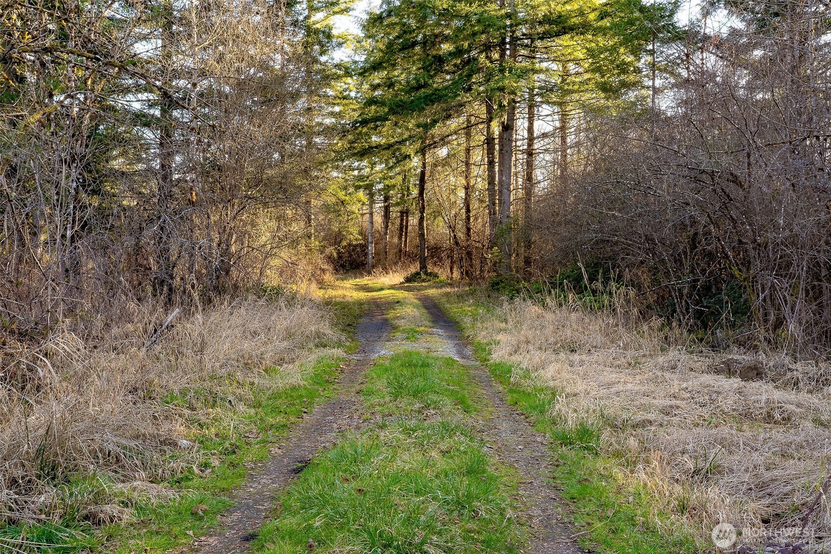 14647 Case Road Southwest Rochester, WA 98579 - Photo 5 of 14 a view of swimming pool with a yard