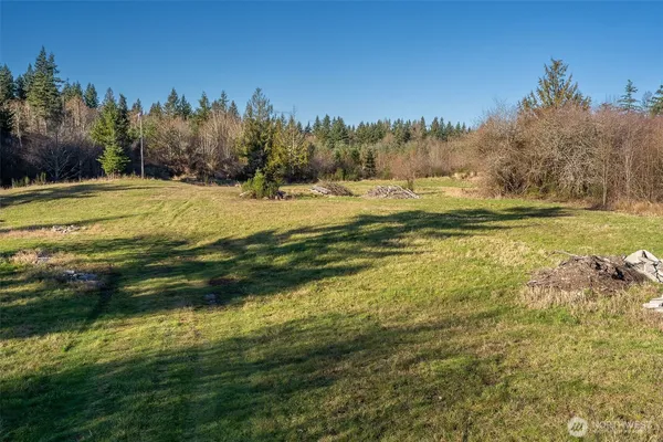 a view of a field with trees in the background