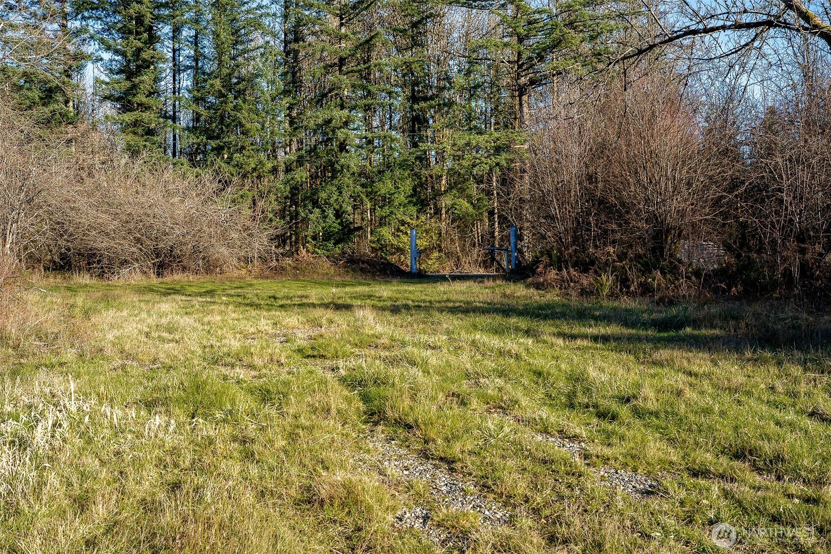 14647 Case Road Southwest Rochester, WA 98579 - Photo 7 of 14 a view of a yard