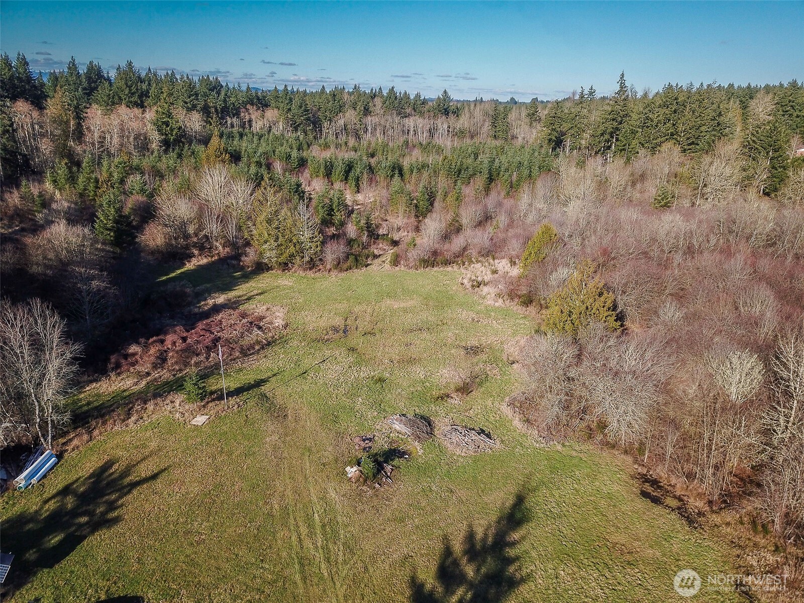 14647 Case Road Southwest Rochester, WA 98579 - Photo 9 of 14 a view of swimming pool and mountain