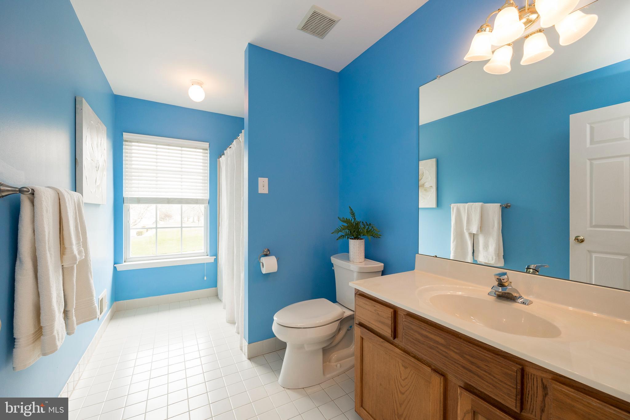 109 Blue Ribbon Way Downingtown, PA 19335 - Photo 32 of 41 Gallery Image 32