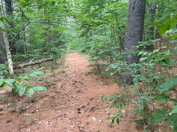 $410,000 | 0 Hartland Avenue, Pittsfield, ME 04967