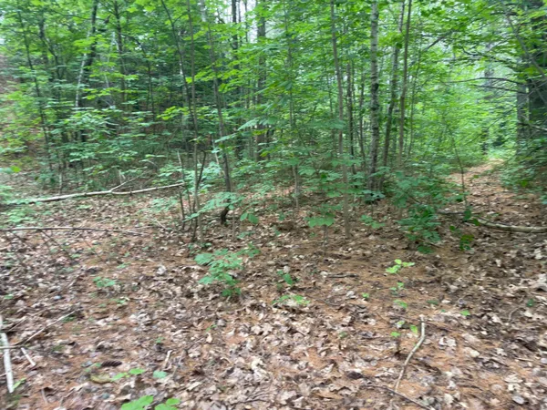 $410,000 | 0 Hartland Avenue, Pittsfield, ME 04967