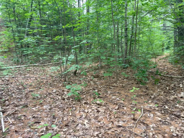 $410,000 | 0 Hartland Avenue, Pittsfield, ME 04967