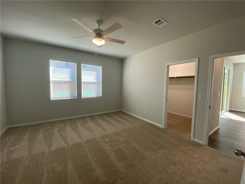 384 Gaida Loop Georgetown, TX 78628 - Photo 10 of 20 Spacious primary bedroom includes blinds, ceiling fan and large walk in closet.
